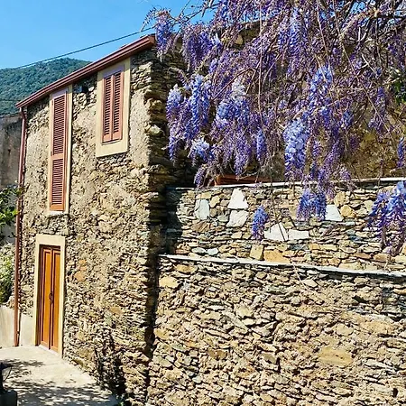 לינה וארוחת בוקר Chambre D'Hote Village San-Martino-di-Lota